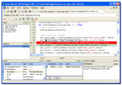 Team Remote ASP Debugger PRO in Action